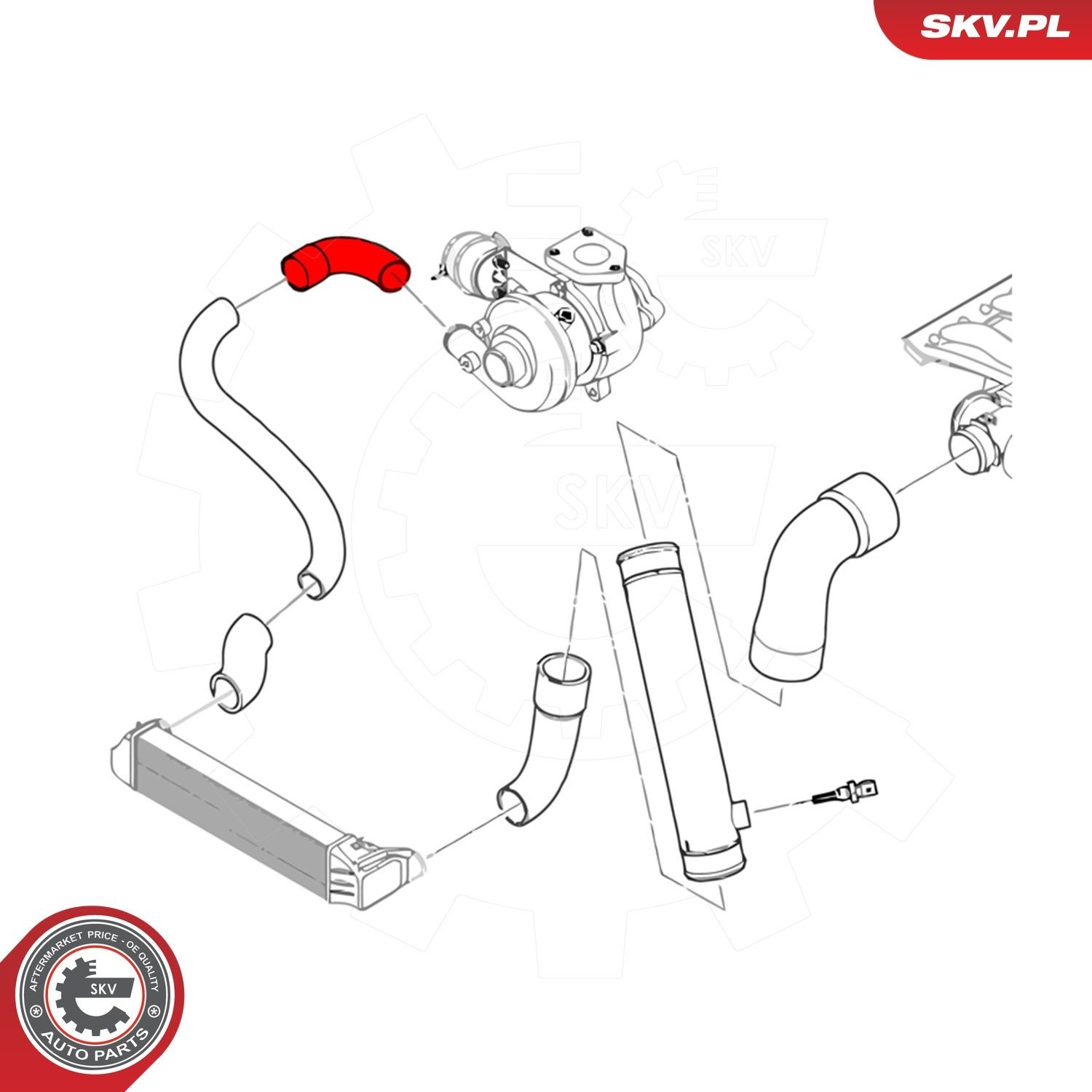 43SKV173 SKV