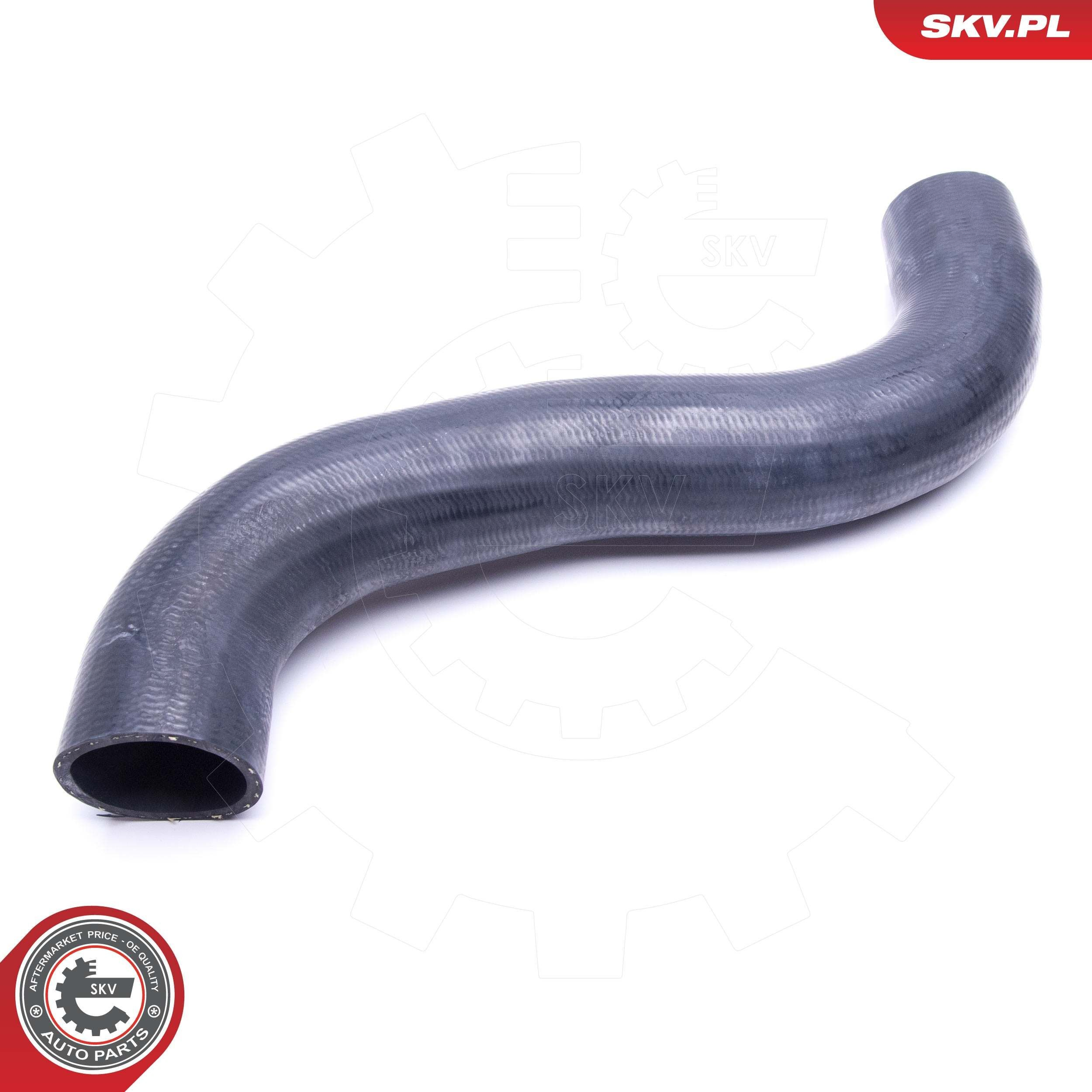 43SKV197 SKV