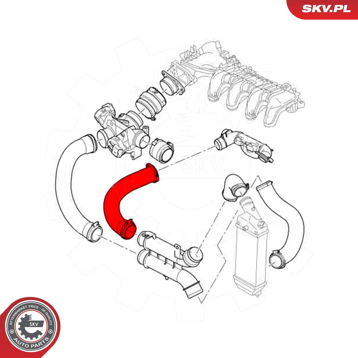 Mangueira (cano derivado) de intercooler 43SKV251 SKV
