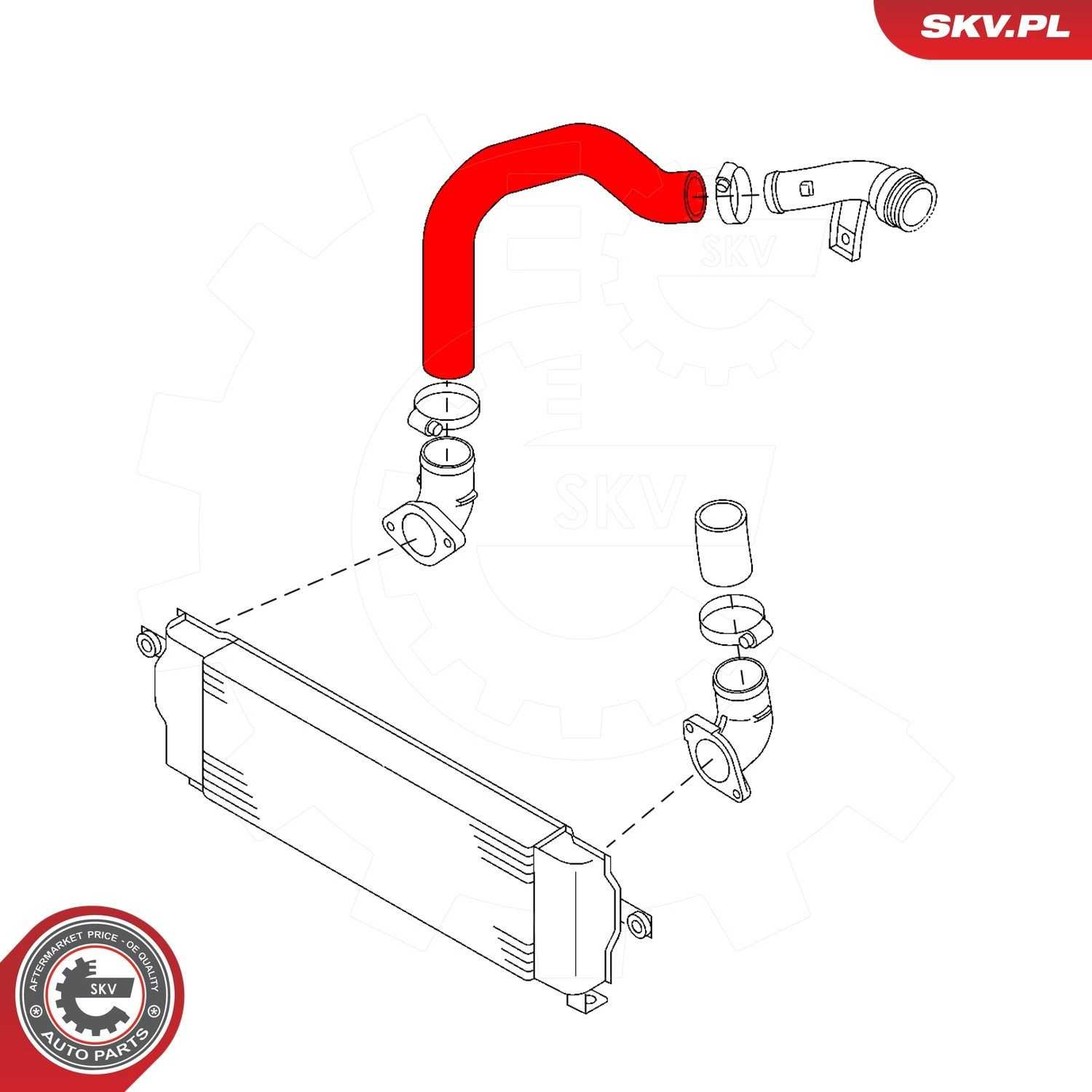 43SKV254 SKV