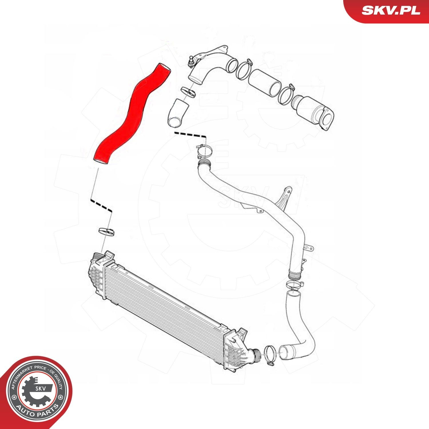 43SKV304 SKV