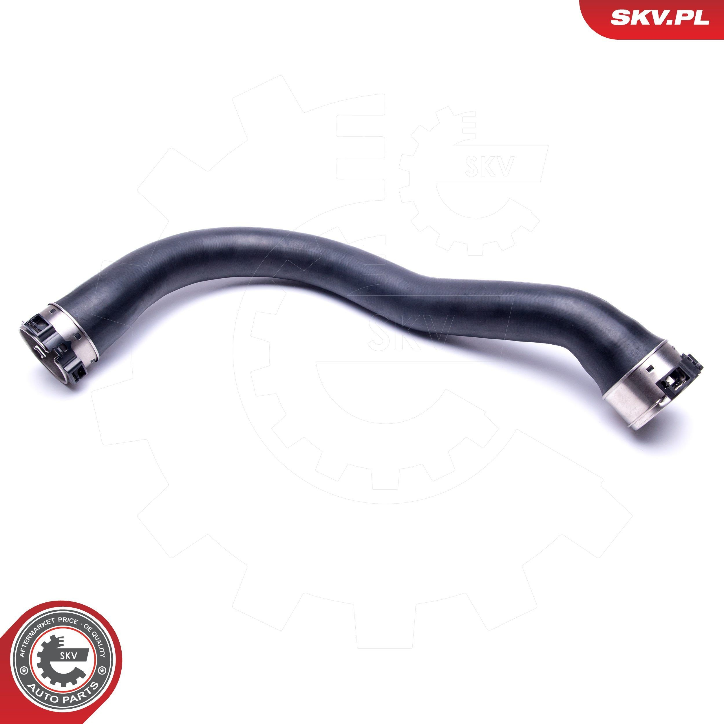 43SKV307 SKV