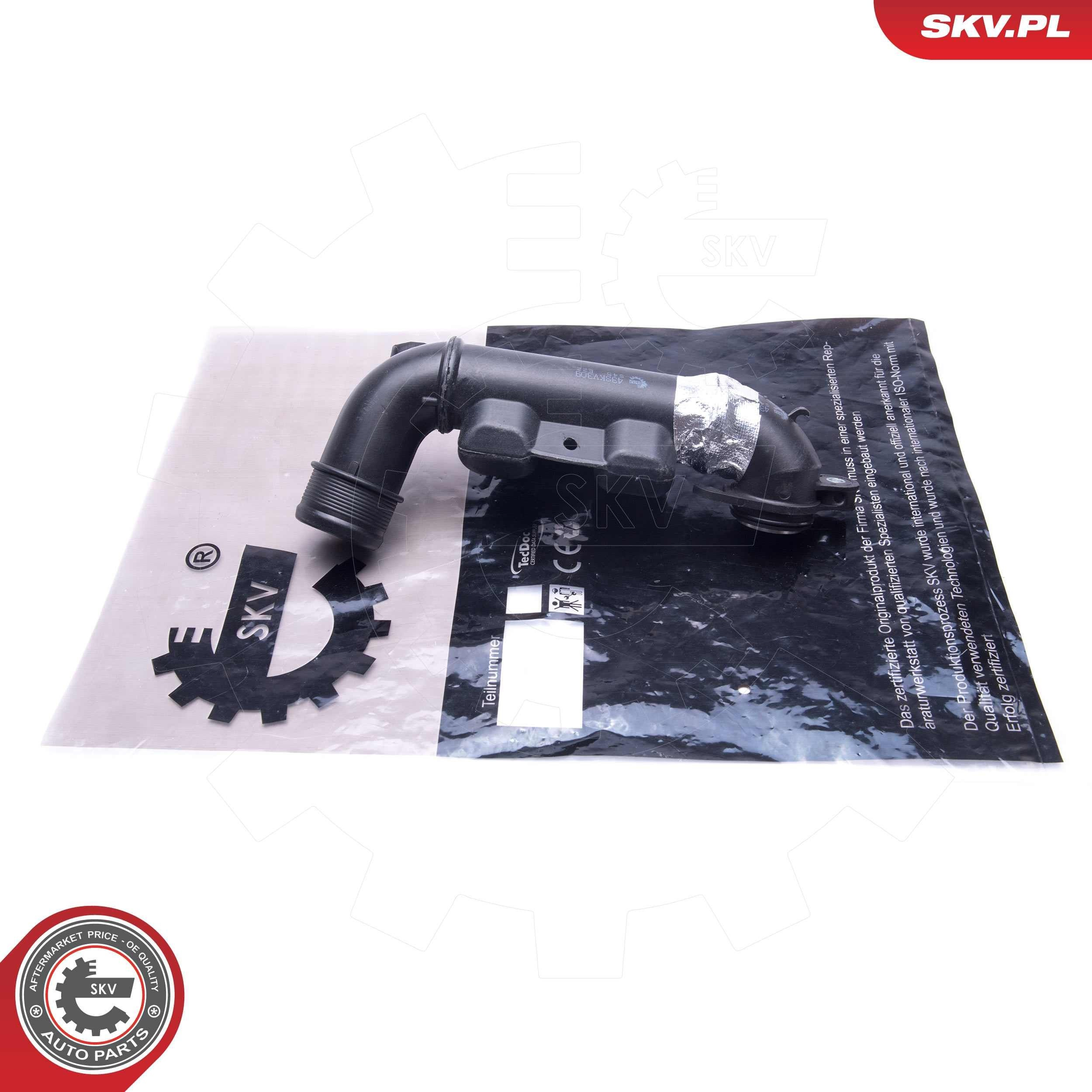 43SKV309 SKV