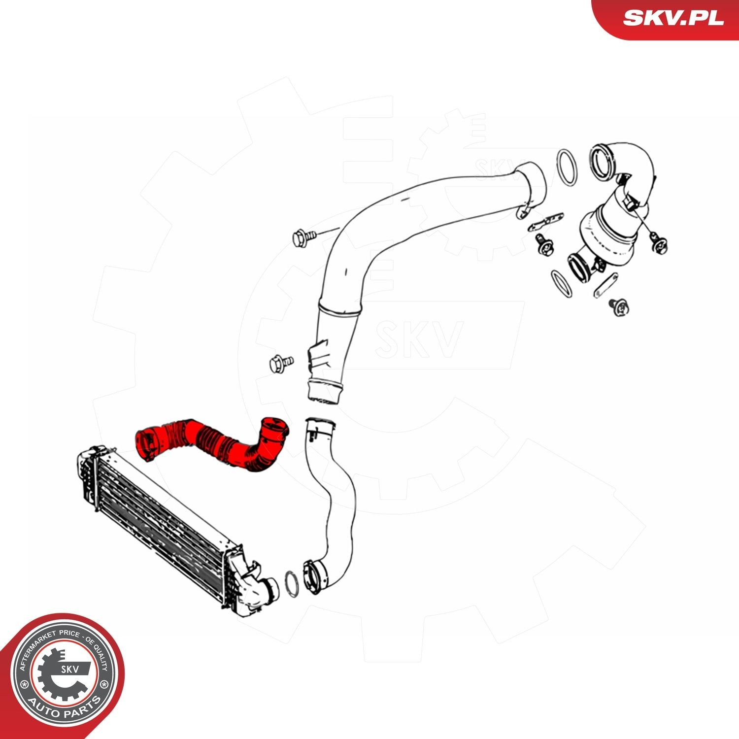 43SKV324 SKV