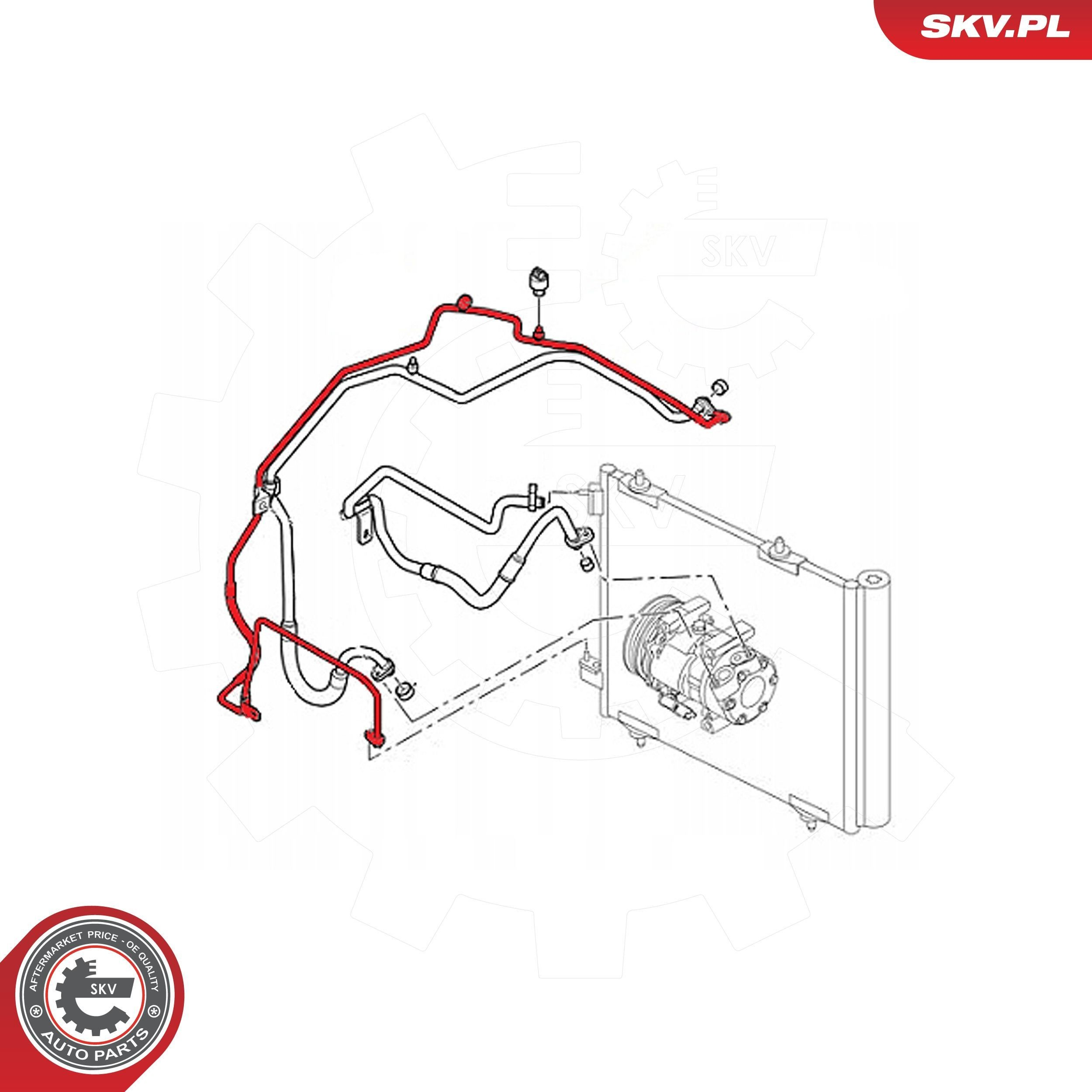 43SKV538 SKV