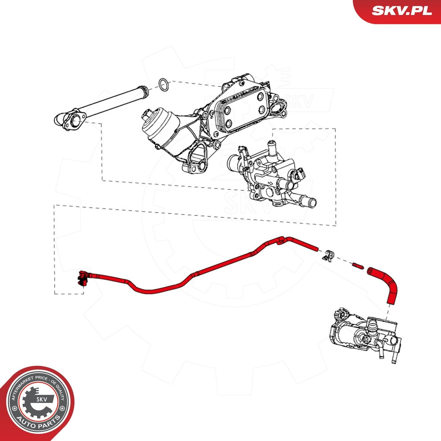 43SKV824 SKV