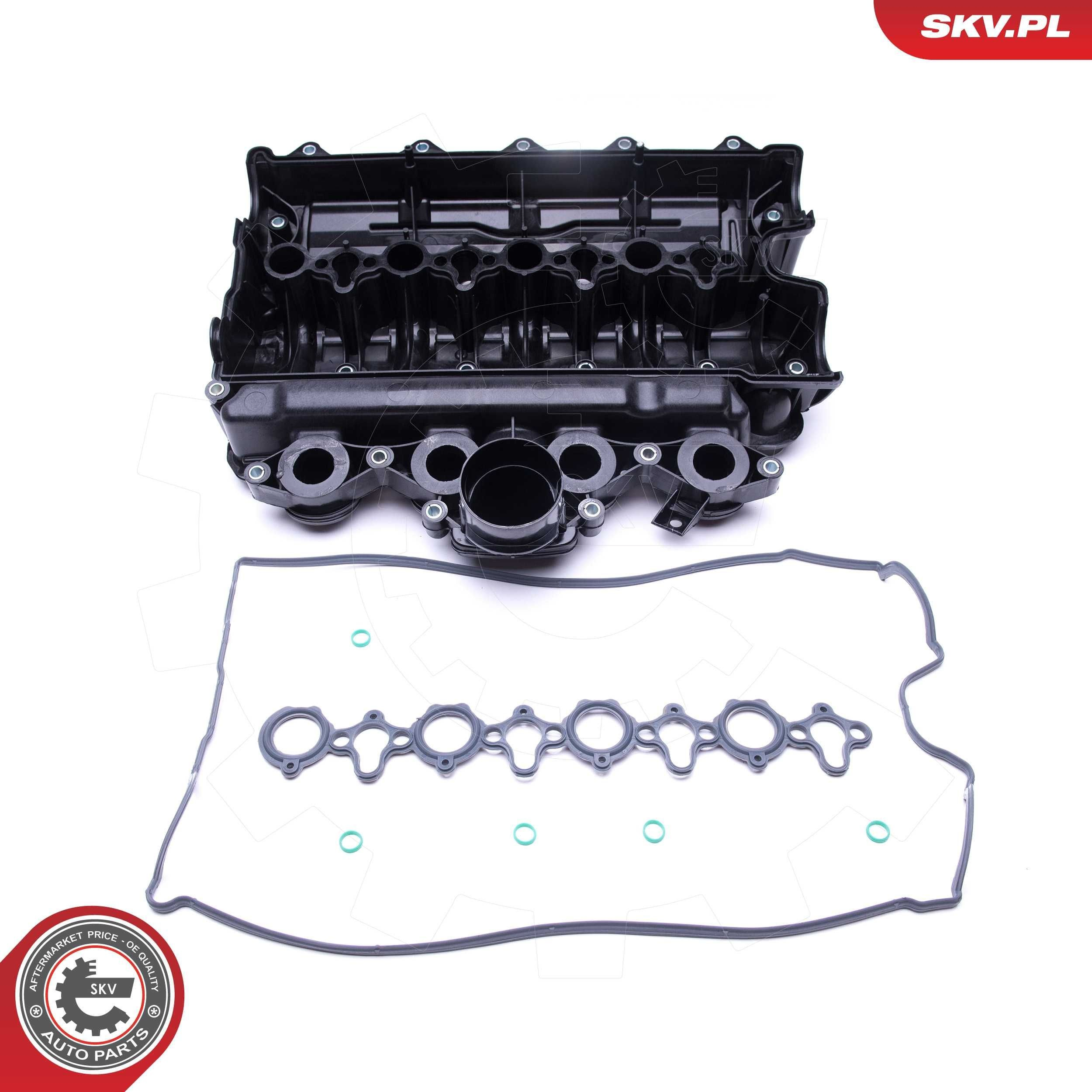 49SKV021 SKV