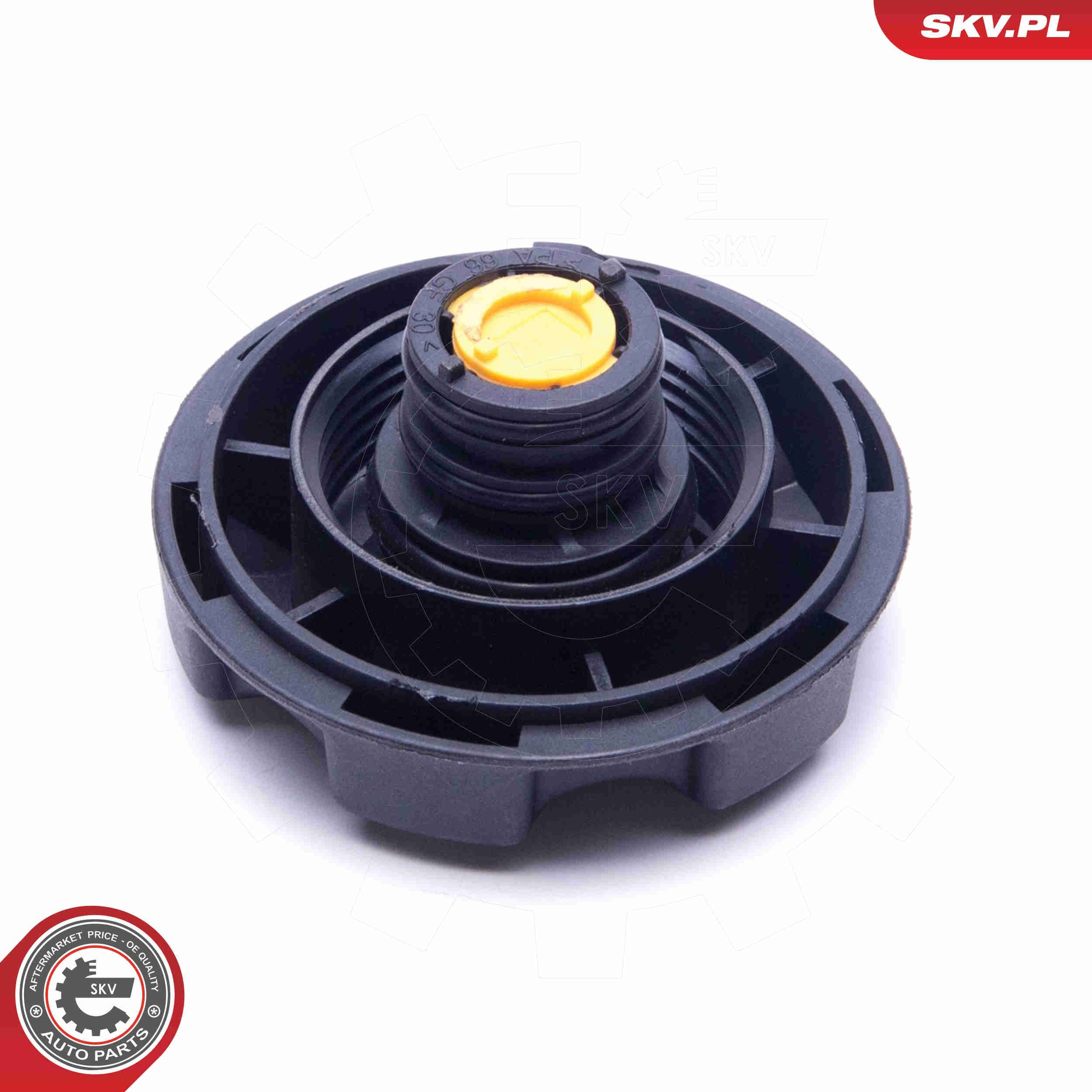 61SKV002 SKV