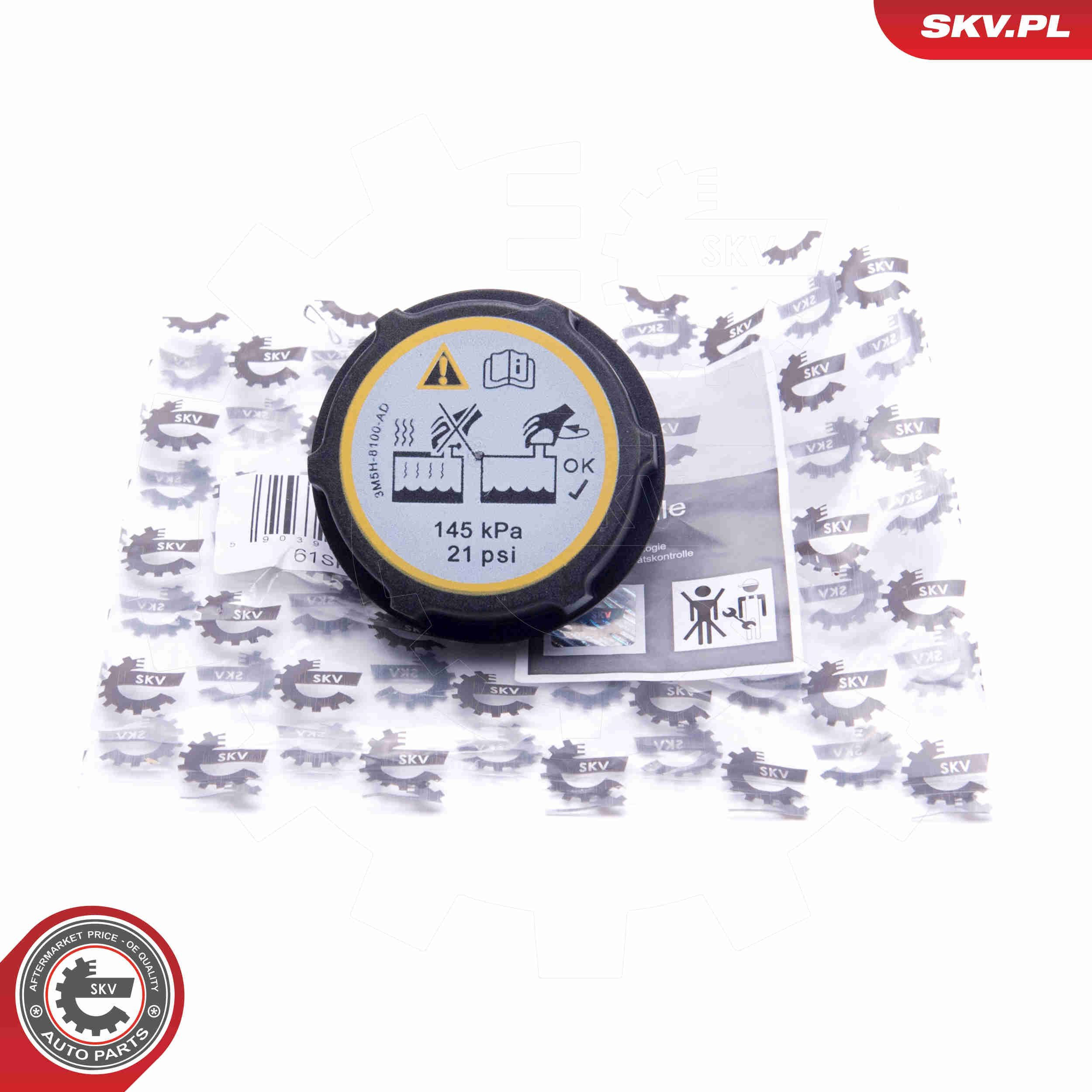 61SKV005 SKV