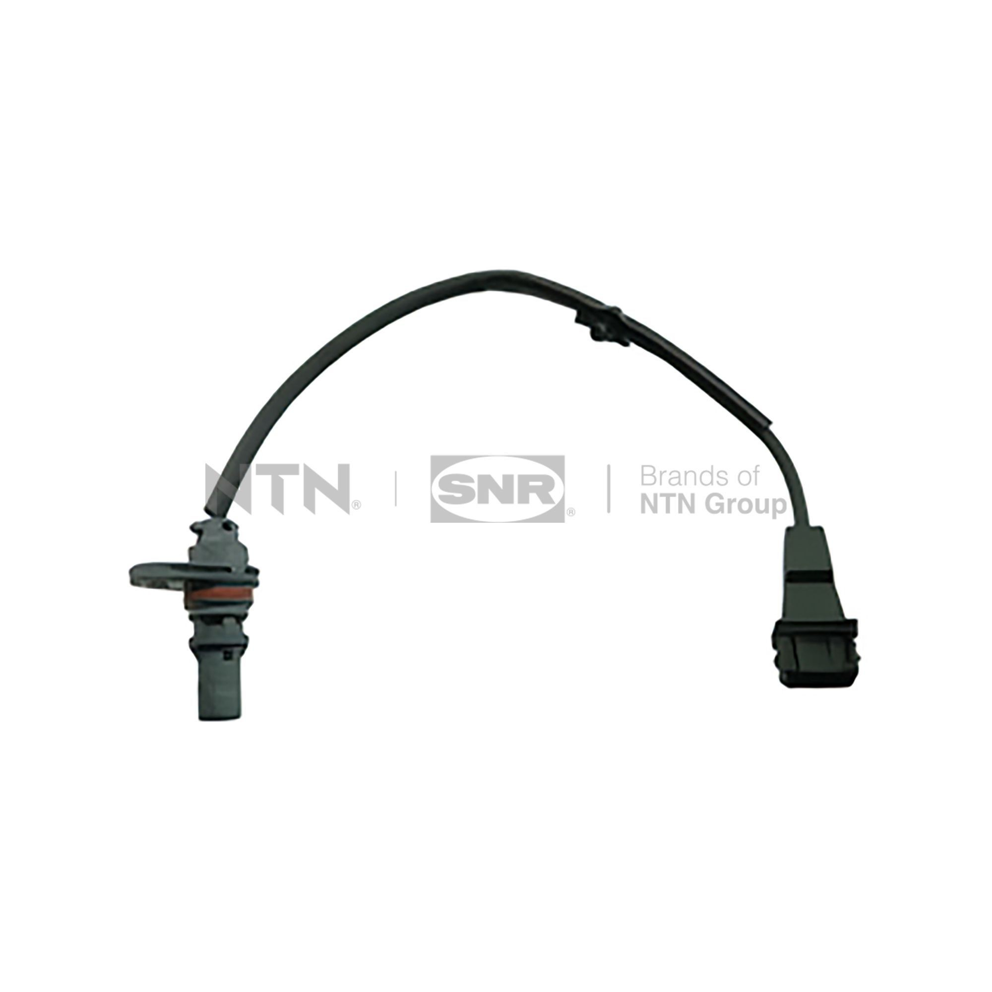 CKP18407 SNR
