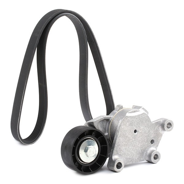 Compre 1613444680 Peugeot/Citroen Correia dos conjuntos de transmissão, kit