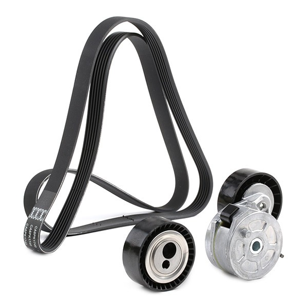 Correia dos conjuntos de transmissão, kit Peugeot/Citroen 1616161380 preço, a partir de 118,73 USD