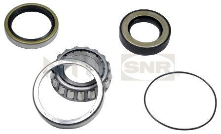 R17307 SNR Rolamento de cubo traseiro