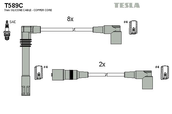 T589C Tesla