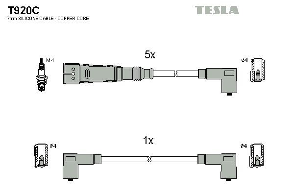 T920C Tesla