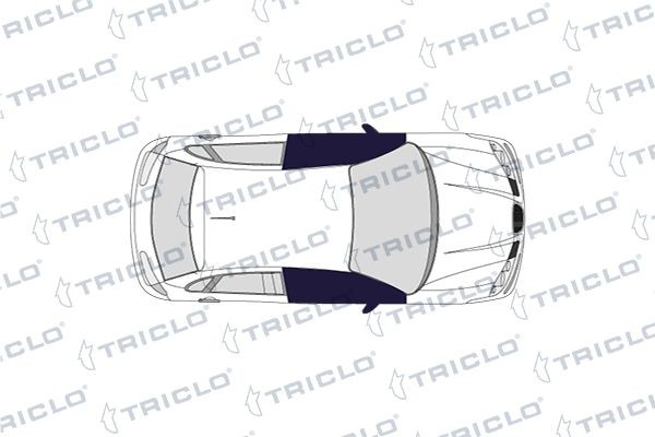 Botão dianteiro esquerdo de ativação de motor de acionamento de vidro 145160 Triclo
