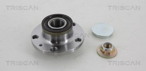 Cubo traseiro Seat Ibiza IV ST 6J8, 6P8