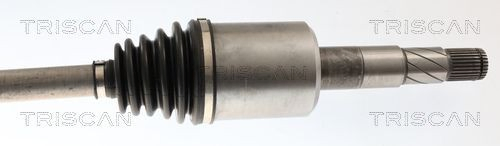 854081514 Triscan