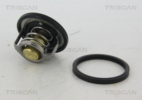 A210282 Tama Termostato
