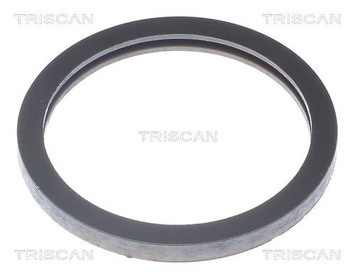 4874100 Chrysler Termostato