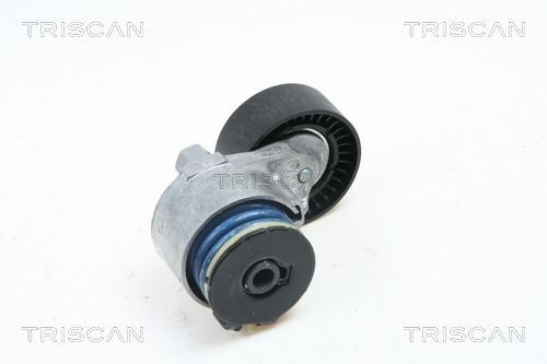 Reguladora de tensão da correia de transmissão Nissan Micra  K12