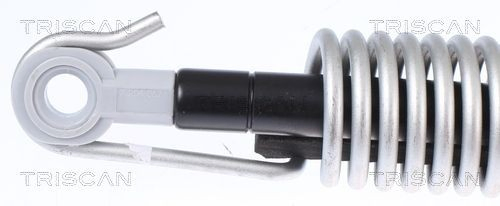 Compre 8710112014 Triscan Amortecedor de tampa de porta-malas (de 3ª/5ª porta traseira)