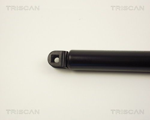 Compre Amortecedor de tampa de porta-malas (de 3ª/5ª porta traseira) Toyota Hiace 4