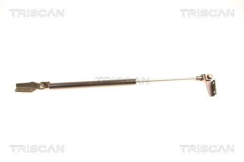 Compre Amortecedor de tampa de porta-malas (de 3ª/5ª porta traseira) Nissan Almera 1