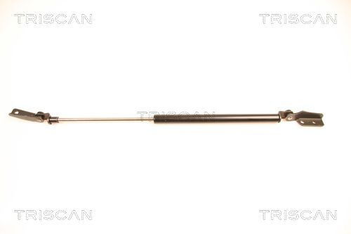 Amortecedor de tampa de porta-malas (de 3ª/5ª porta traseira) Nissan Almera I N15
