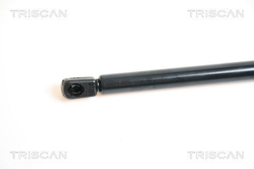  Amortecedor da capota Fiat Stilo hatchback (192) (2001 - 2006) 