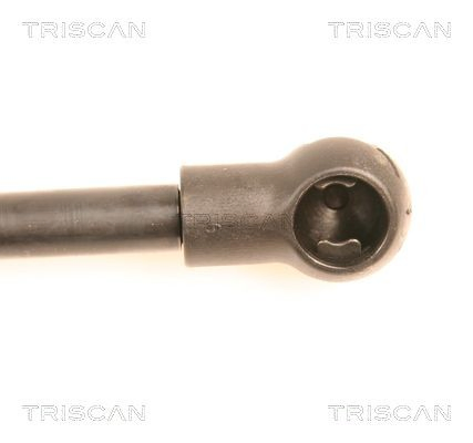 Amortecedor de tampa de porta-malas (de 3ª/5ª porta traseira) Audi A4 Avant B6 8E5