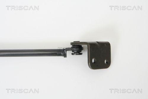  Amortecedor de tampa de porta-malas (de 3ª/5ª porta traseira) Hyundai Terracan SUV (HP) (2001 - 2006) 
