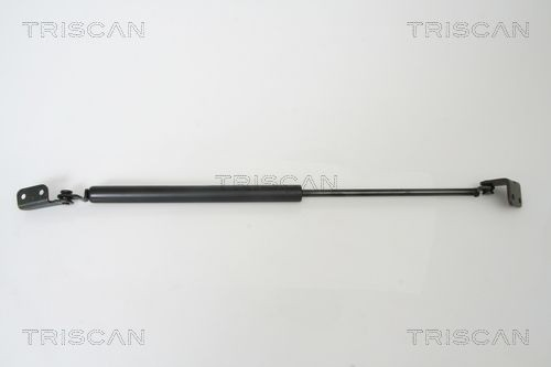 Compre Amortecedor de tampa de porta-malas (de 3ª/5ª porta traseira) Hyundai Terracan 
