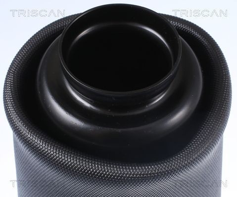 Compre REC34AS0024 Amity AP Coxim pneumático (suspensão de lâminas pneumática) do eixo dianteiro