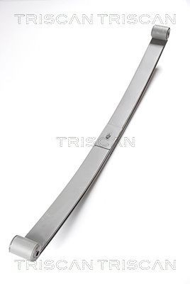 Suspensão de lâminas traseiro para Peugeot Boxer II 244, Z