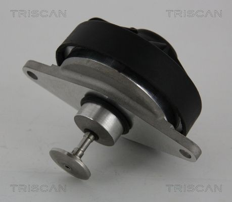 Compre Válvula EGR de recirculação dos gases Opel Omega 