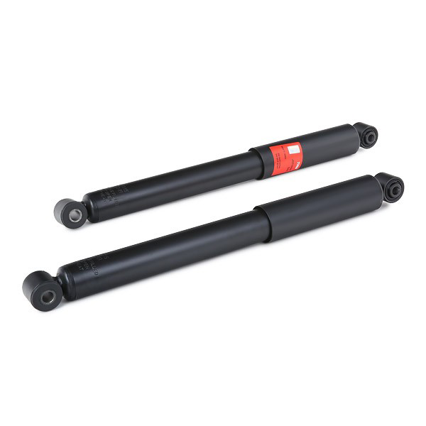 JGT1006T TRW Amortecedor traseiro