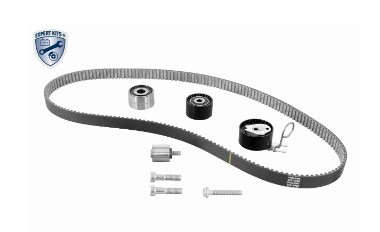 Correia do mecanismo de distribuição de gás, kit 95527019 Peugeot/Citroen