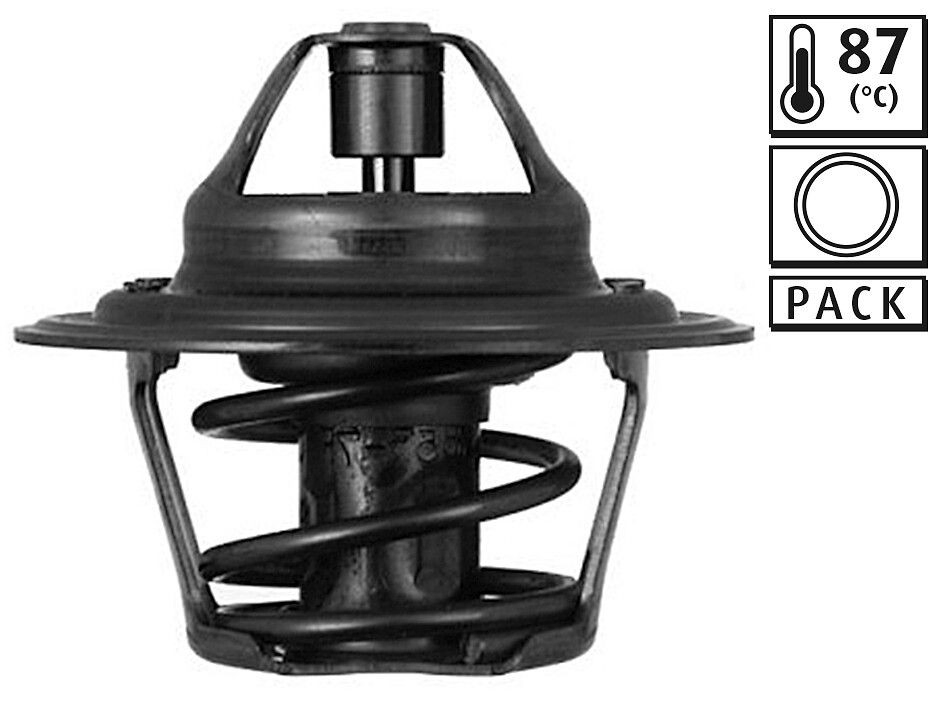  Termostato Ford Escort III hatchback (GAA, AWA, ABFT, AVA) (1980 - 1985) III