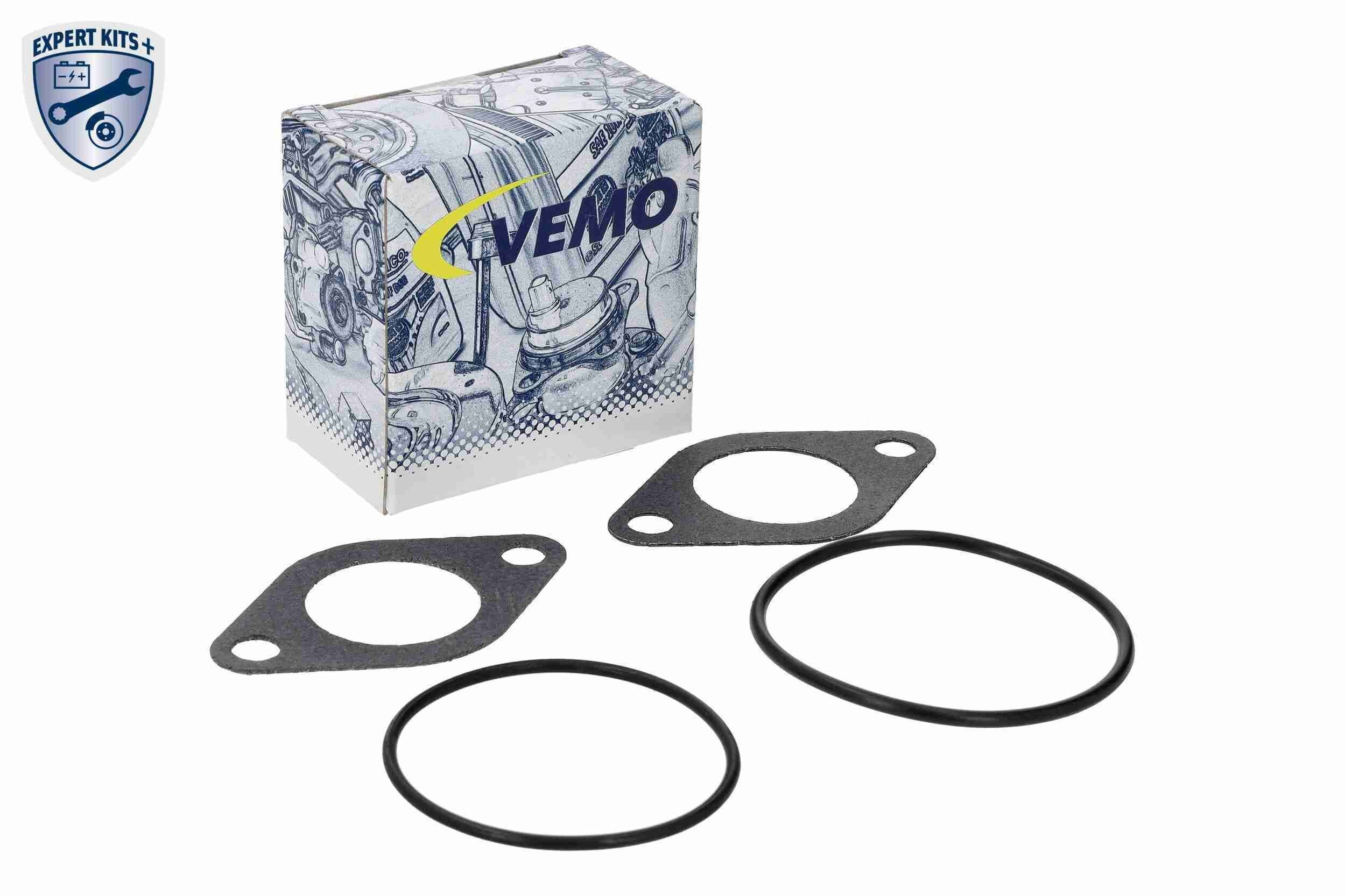 V10639011 Vemo