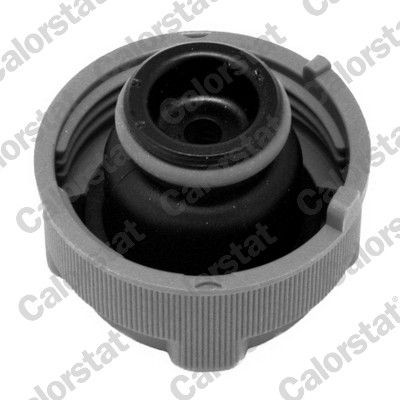 Tanque de expansão do sistema de esfriamento ET0033C2 Vernet