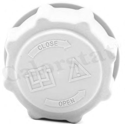 Compre RC0039 Vernet Tampa (tampão) do tanque de expansão