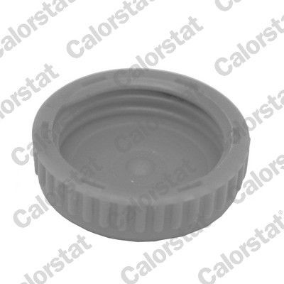 Compre Tampa (tampão) do tanque de expansão Nissan Almera 2