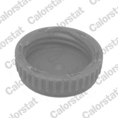  Tampa (tampão) do radiador Nissan Primera sedan (P12) (2002 - 2008) 