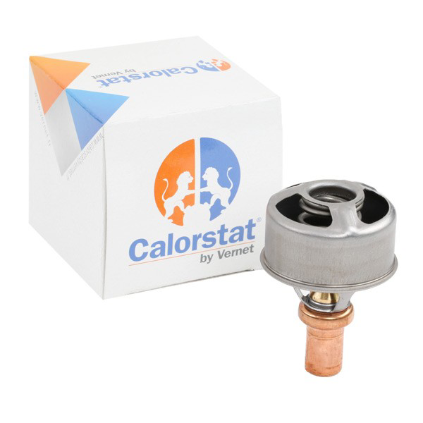 TH449589 Vernet Termostato