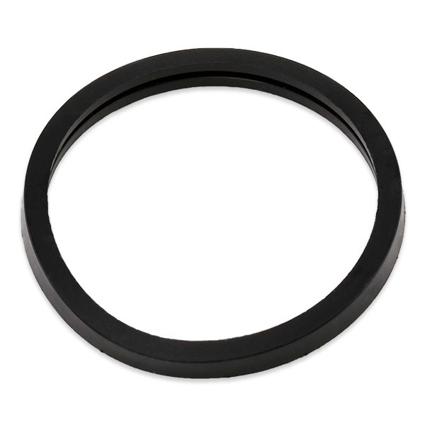 Termostato TH489892J Vernet
