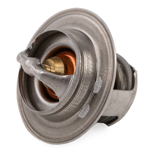 Compre TH489892J Vernet Termostato