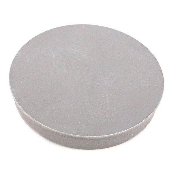 Compre 65010000101 Vika Tampão de cubo