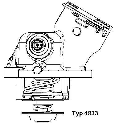 4833100D Wahler Termostato