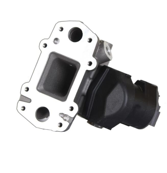 710965D Wahler Válvula EGR de recirculação dos gases